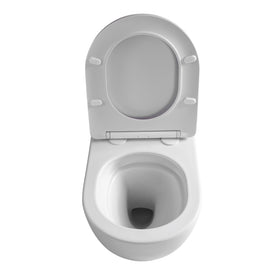 ALONI PRO HANGTOILET - TORNADO FLUSH - RANDLOOS - MET ZITTING - DUROPLAST - SOFT CLOSE - QUICK RELEASE - COMPACT 49 CM - 36X32X49 CM - GLANZEND WIT