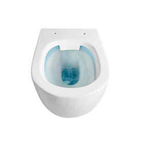 ALONI ECO HANGTOILET - RANDLOOS - MET ZITTING - DUROPLAST - SOFT CLOSE - QUICK RELEASE - COMPACT 49 CM - 36X36X49 CM - GLANZEND WIT