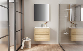 ALONI HAYAT WASTAFELONDERKAST - 2 LADES - SOFTCLOSE - GREEPLOOS - 59,5X50X45 CM - EIK