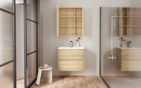 ALONI HAYAT WASTAFELONDERKAST - 2 LADES - SOFTCLOSE - GREEPLOOS - 59,5X50X45 CM - EIK