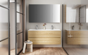 ALONI HAYAT WASTAFELONDERKAST - 2 LADES - SOFTCLOSE - GREEPLOOS - 119,5X50X45 CM - EIK