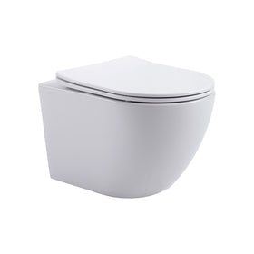ALONI PRO HANGTOILET - TORNADO FLUSH - RANDLOOS - MET ZITTING - DUROPLAST - SOFT CLOSE - QUICK RELEASE - COMPACT 49 CM - 36X32X49 CM - GLANZEND WIT
