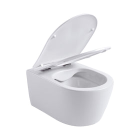 ALONI PRO HANGTOILET - RANDLOOS - MET ZITTING - DUROPLAST - SOFT CLOSE - QUICK RELEASE - COMPACT 49 CM - 36X25X49 CM - GLANZEND WIT